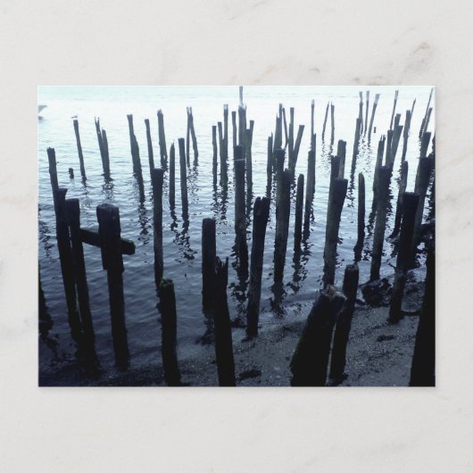 Carte Postale Restes de la jetée du front de mer de North End (Devant)