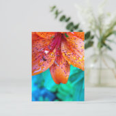 Carte Postale restes d'été (Debout devant)