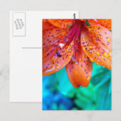 Carte Postale restes d'été (Devant / Derrière)