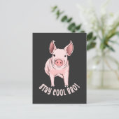 Carte Postale Restez Cool Bro Funny Pig (Debout devant)