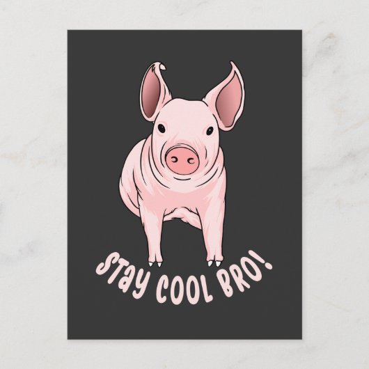 Carte Postale Restez Cool Bro Funny Pig (Devant)