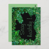 Carte Postale Restez en bonne santé avec le Ivy vert (Devant / Derrière)