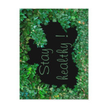 Restez en bonne santé avec le Ivy vert