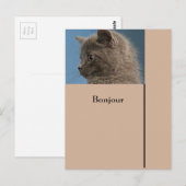 Carte postale Restez en contact avec la carte post (Devant / Derrière)