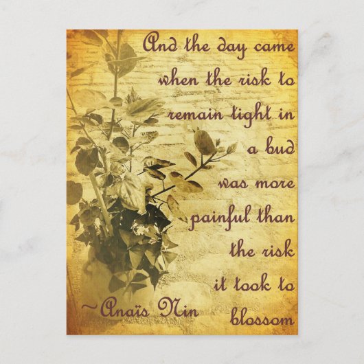 Carte Postale Restez serré dans le bourgeon (Devant)