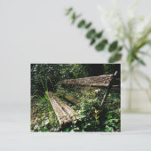 Carte Postale Restez un moment (Debout devant)