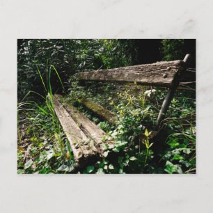 Carte Postale Restez un moment