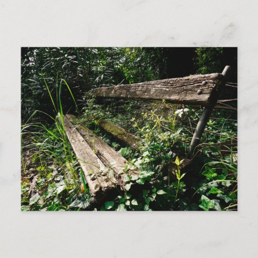 Carte Postale Restez un moment (Devant)