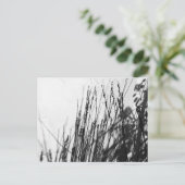 Carte Postale Restio / Grasse noire et silhouette (Debout devant)