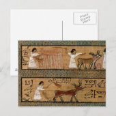 Carte Postale Retirer et labourer, détailler une représentation (Devant / Derrière)