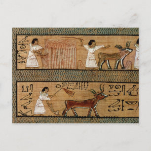 Carte Postale Retirer et labourer, détailler une représentation