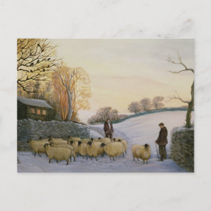 Carte Postale Retour à la maison