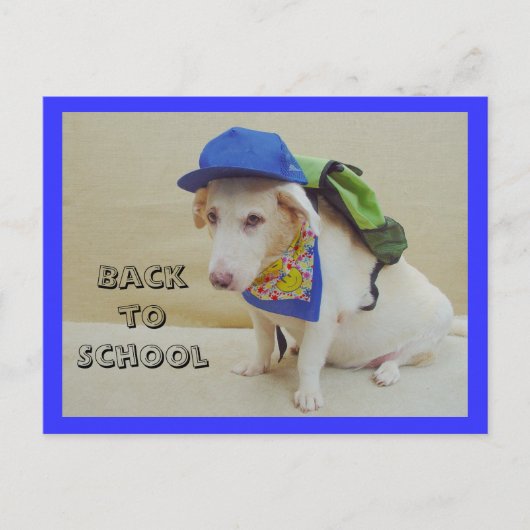 Carte Postale Retour à l'école (Devant)