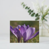 Carte Postale retour du printemps (Debout devant)