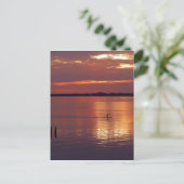 Carte Postale Retours du Nocturne Paddle Boarder (Debout devant)
