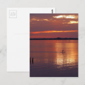 Carte Postale Retours du Nocturne Paddle Boarder (Devant / Derrière)