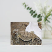 Carte Postale Retours Godzilla (Debout devant)