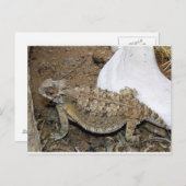 Carte Postale Retours Godzilla (Devant / Derrière)