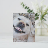 Carte Postale Retrait souriant (Debout devant)