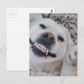 Carte Postale Retrait souriant (Devant / Derrière)
