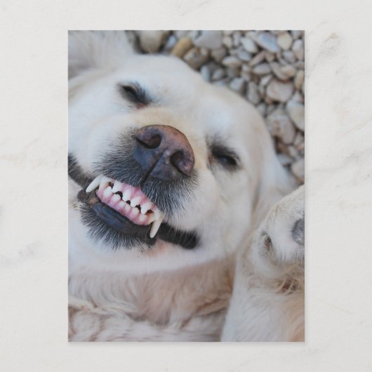 Carte Postale Retrait souriant (Devant)