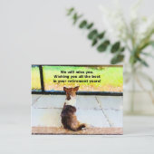 Carte Postale Retraite - Vous nous manquerez. (Debout devant)