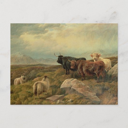 Carte Postale Rétribution (Devant)