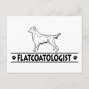 Carte Postale Retrieur à revêtement plat humoristique