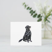 Carte Postale Retriever à poil plat (B) (Debout devant)