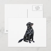 Carte Postale Retriever à poil plat (B) (Devant / Derrière)