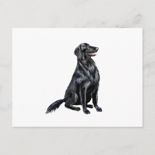 Carte Postale Retriever à poil plat (B) (Devant)