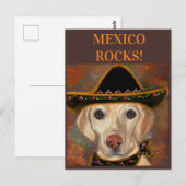 Carte Postale Retriever du Labrador    (Devant / Derrière)