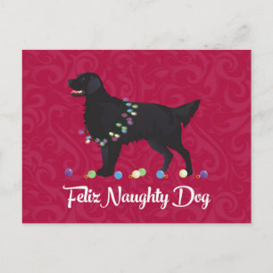 Carte Postale Retriever noir plat Feliz Naughty Chien