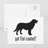 Carte Postale Retriqueur à revêtement plat (Devant / Derrière)