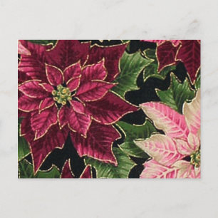 Carte Postale Rétro 50s Poinsettia Bordeaux Rose