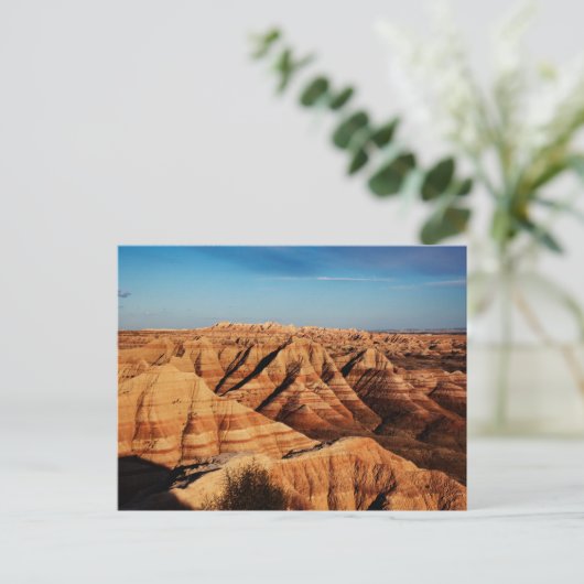 Carte postale Retro American Scenery (Debout devant)