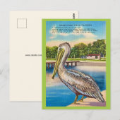 Carte postale rétro de Floride  (Devant / Derrière)