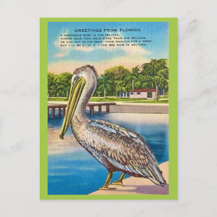 Carte postale rétro de Floride