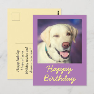 Carte postale rétro drôle de chien et joyeux anniv