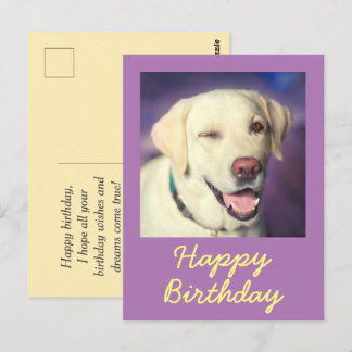 Carte postale rétro drôle de chien et joyeux anniv