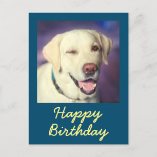 Carte postale rétro drôle de chien et joyeux anniv