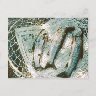Carte postale Retro Fishing Net and Trout