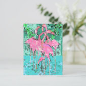Carte Postale Rétro Flock of Flamant rose Birds Flamants roses d (Debout devant)