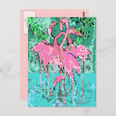 Carte Postale Rétro Flock of Flamant rose Birds Flamants roses d (Devant / Derrière)