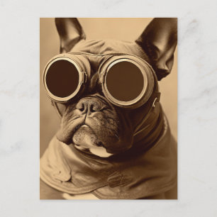 Carte Postale Retro Frenchie Sepia