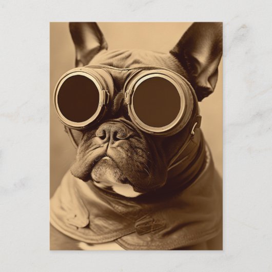 Carte Postale Retro Frenchie Sepia (Devant)