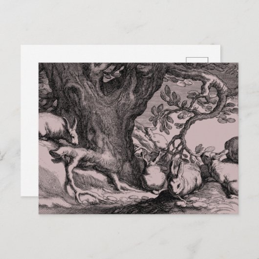 Carte Postale Retro lapins lapins Vintages (Devant / Derrière)