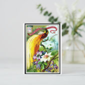 Carte postale Retro Paradise Bird (Debout devant)