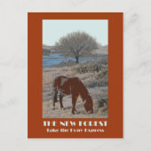 Carte postale rétro style New Forest 1920 (Devant)