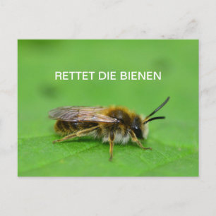Carte Postale Rettet die Bienen